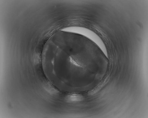 X0000115740467200911121541