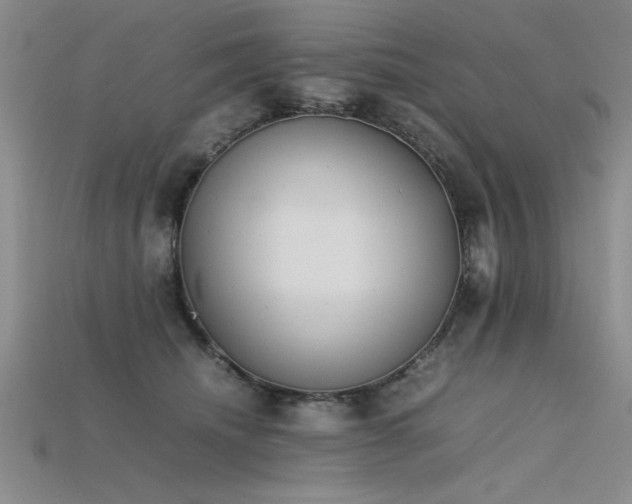 X0000115740468200911121541