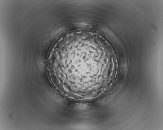 X0000115740469200911121541