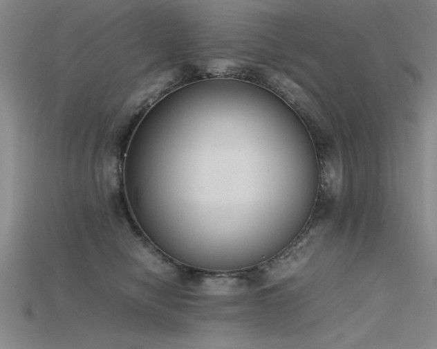 X0000115740470200911121541