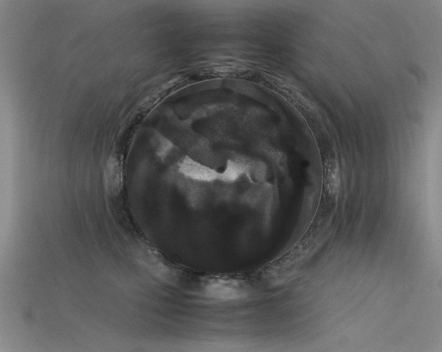 X0000115740471200911121541