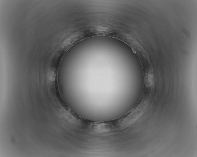 X0000115740472200911121541
