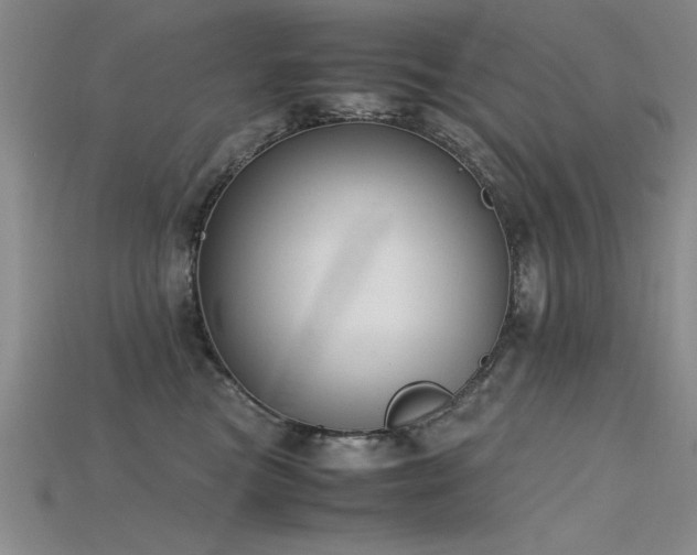 X0000115740473200911121541