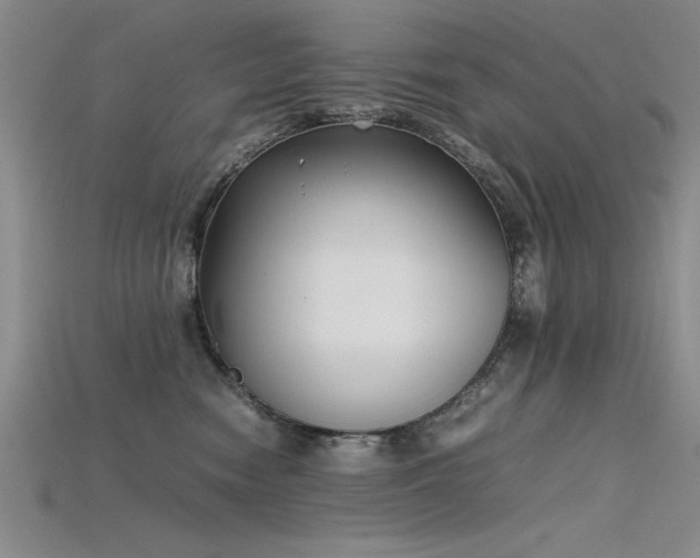 X0000115740474200911121541