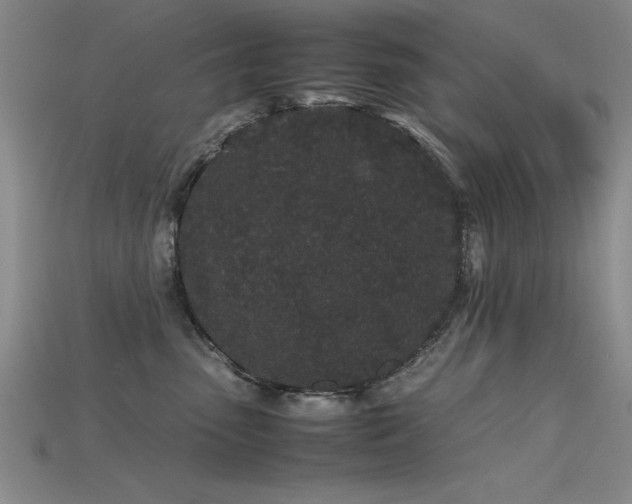 X0000115740475200911121541