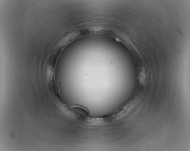 X0000115740476200911121541