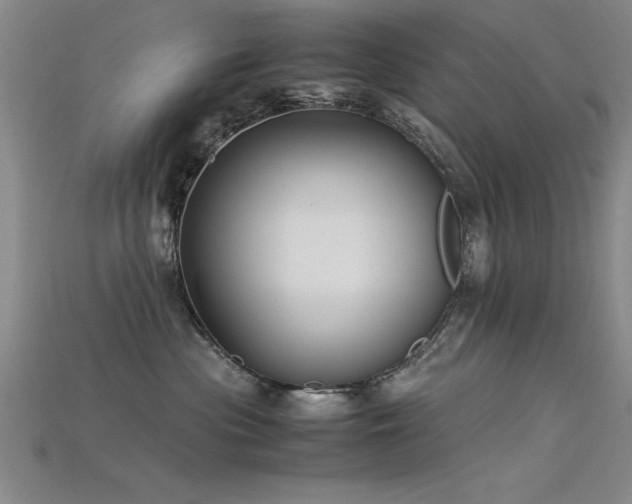 X0000115740477200911121541