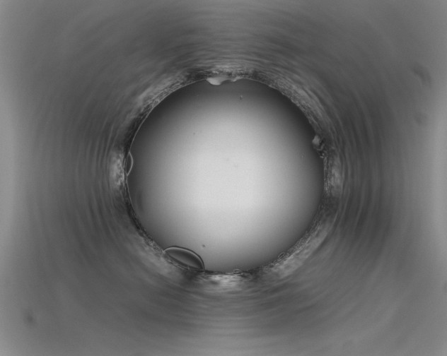 X0000115740478200911121541