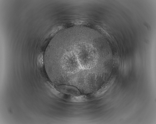 X0000115740479200911121541