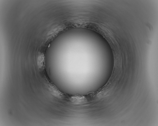 X0000115740480200911121541