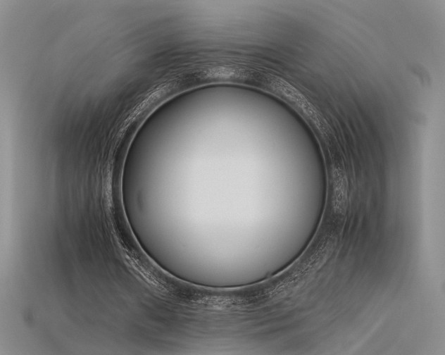 X0000115740482200911121540