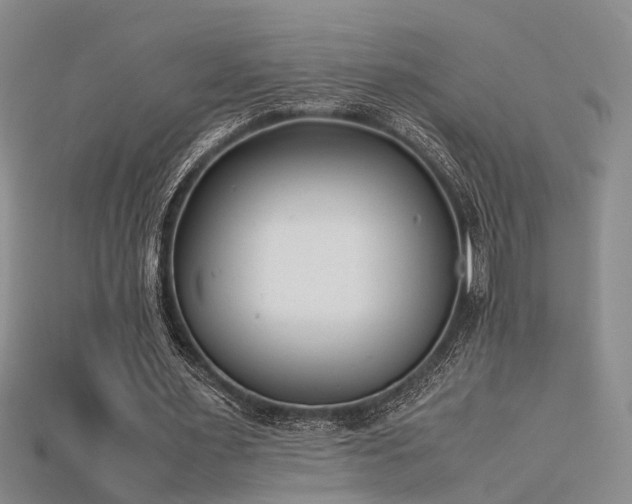 X0000115740483200911121540