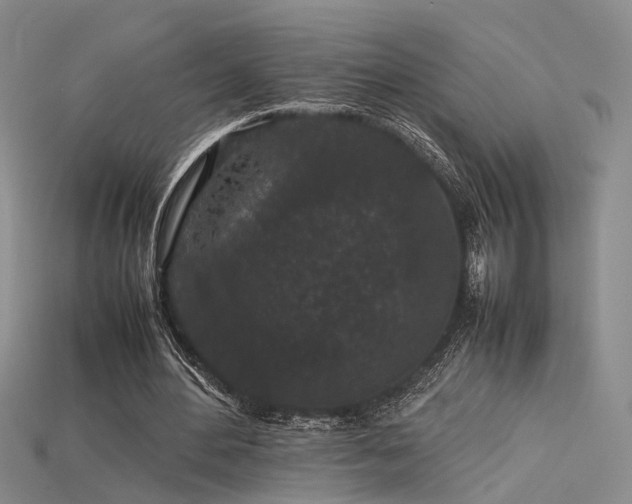 X0000115740484200911121540