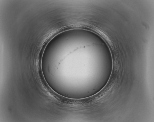 X0000115740485200911121540