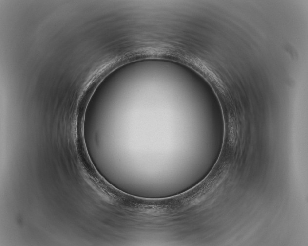 X0000115740486200911121540