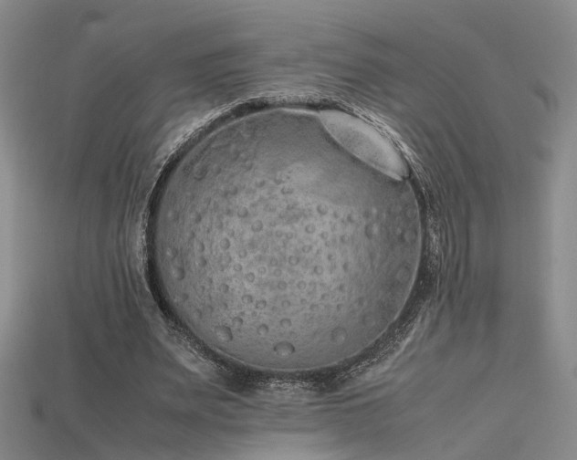 X0000115740487200911121540