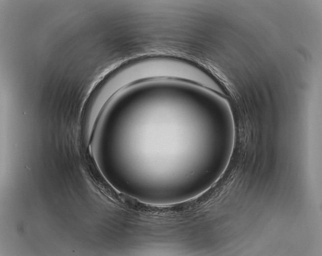 X0000115740488200911121540