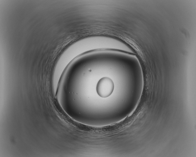 X0000115740489200911121540