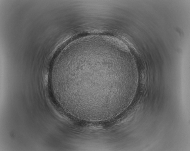 X0000115740491200911121540