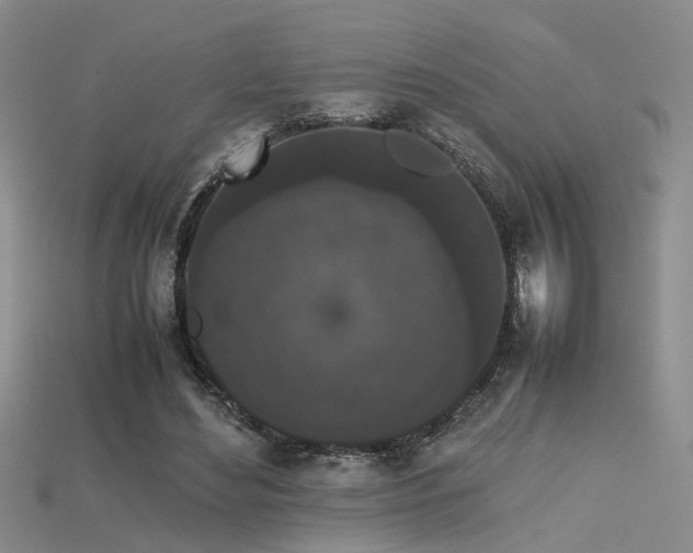 X0000115740492200911121540