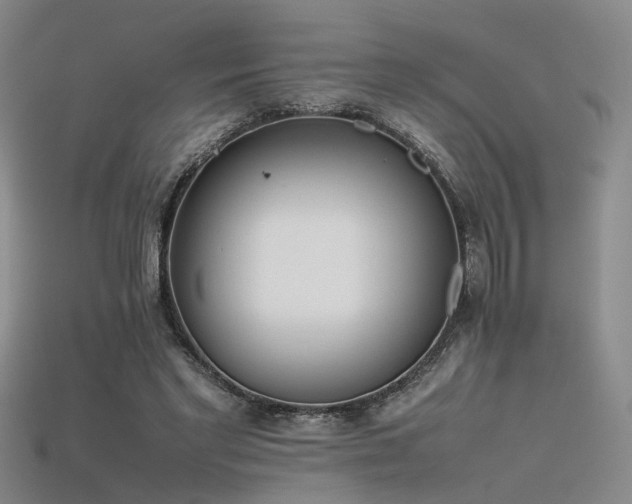 X0000115740493200911121540