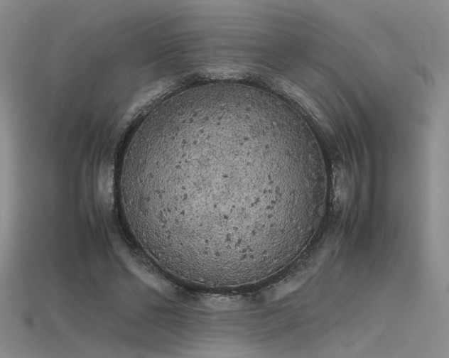 X0000115740494200911121540