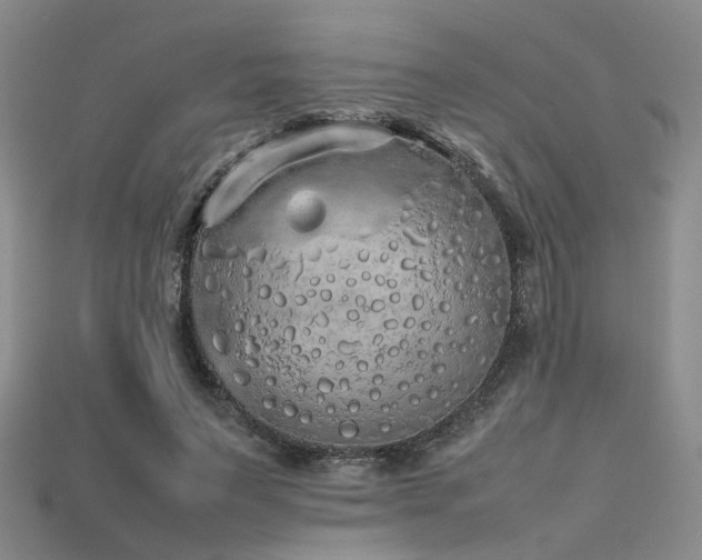 X0000115740495200911121540