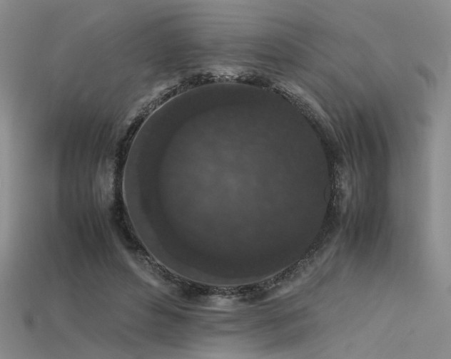 X0000115740496200911121540