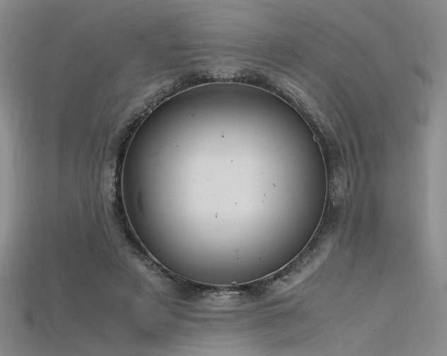 X0000115740497200911121540