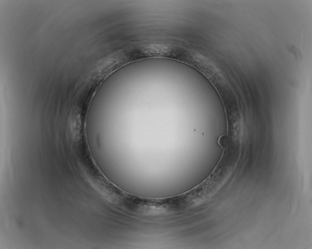 X0000115740498200911121540