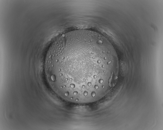 X0000115740499200911121540