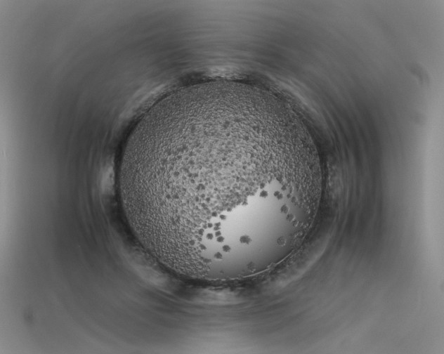 X0000115740502200911121540