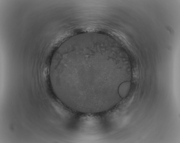 X0000115740503200911121540