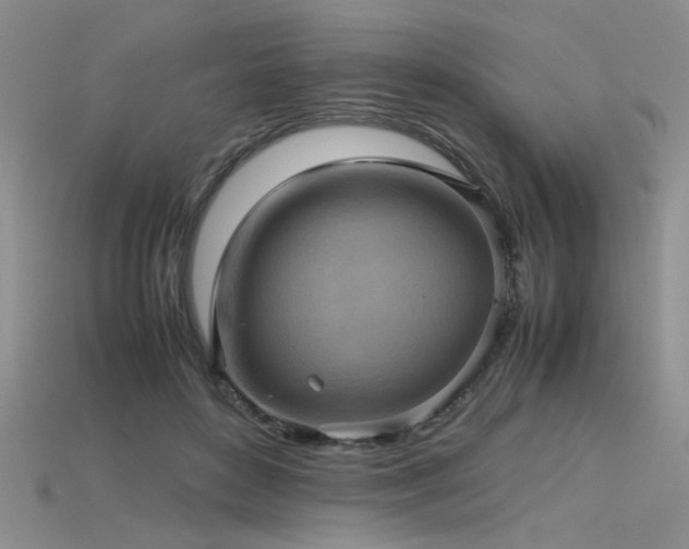 X0000115740504200911121540