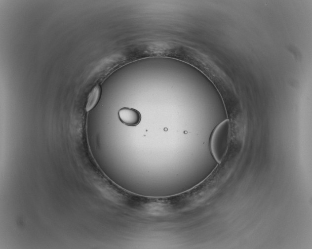 X0000115740505200911121540