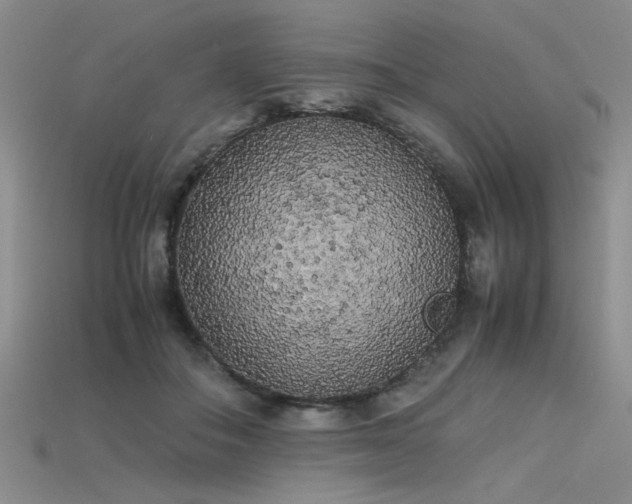 X0000115740506200911121540