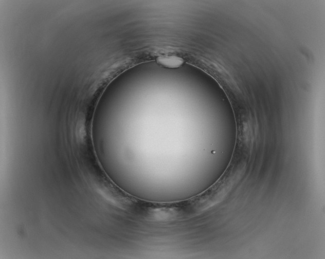 X0000115740508200911121540