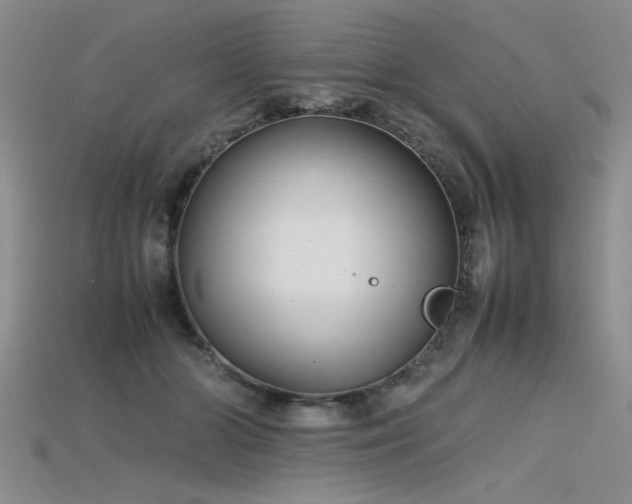 X0000115740510200911121540