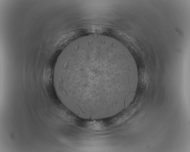 X0000115740511200911121540