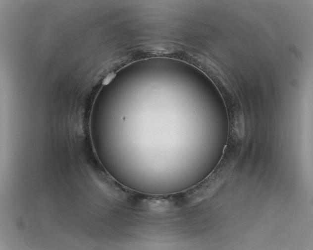 X0000115740512200911121540