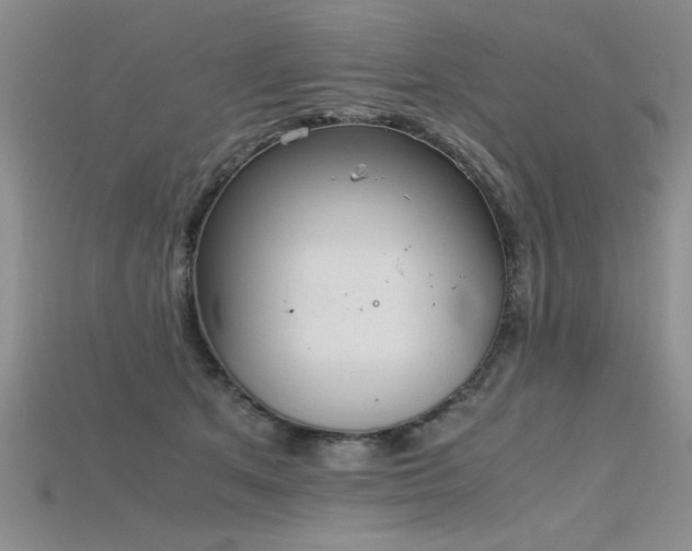 X0000115740513200911121540