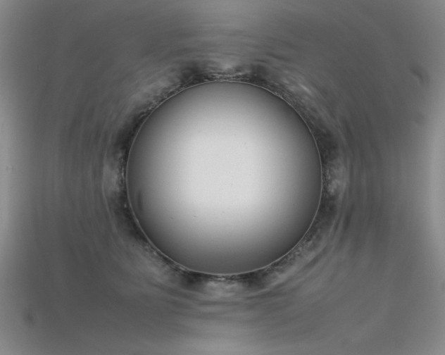 X0000115740515200911121540