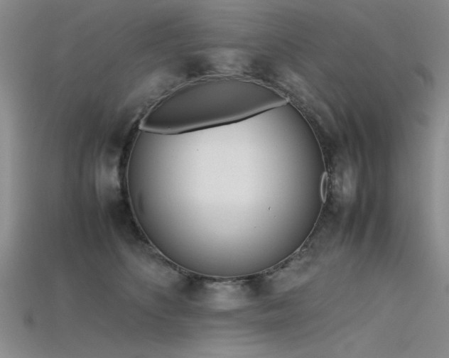 X0000115740516200911121540