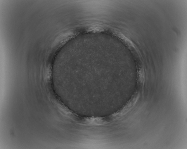 X0000115740517200911121540
