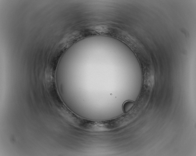 X0000115740518200911121540