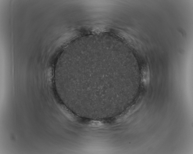 X0000115740519200911121540