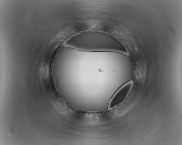 X0000115740520200911121540