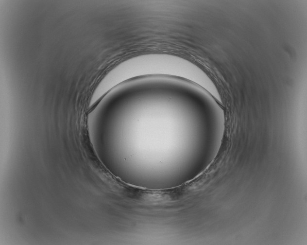 X0000115740521200911121540