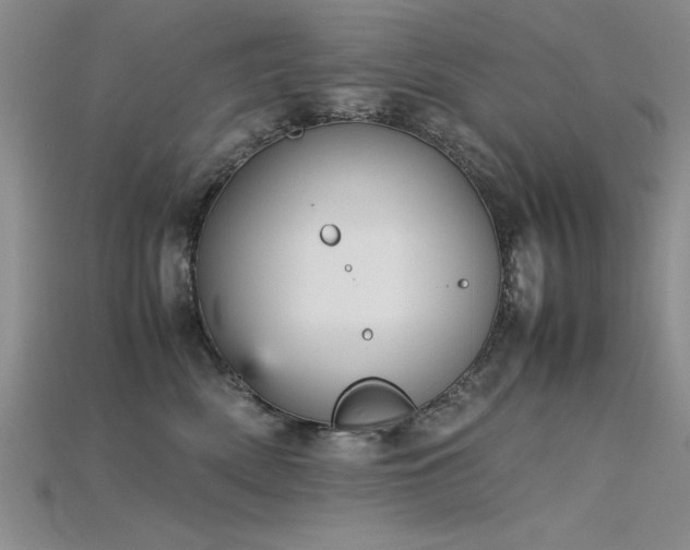 X0000115740522200911121540
