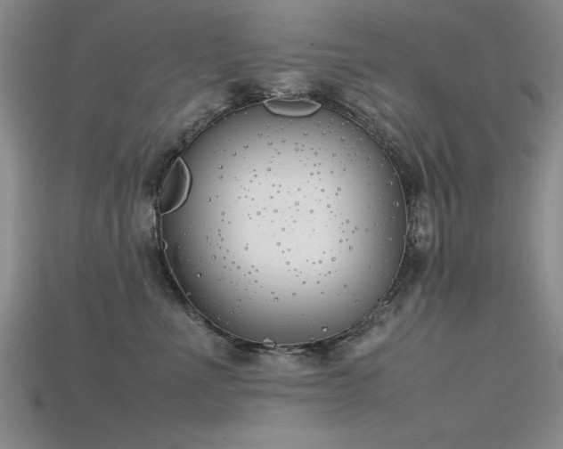 X0000115740523200911121540